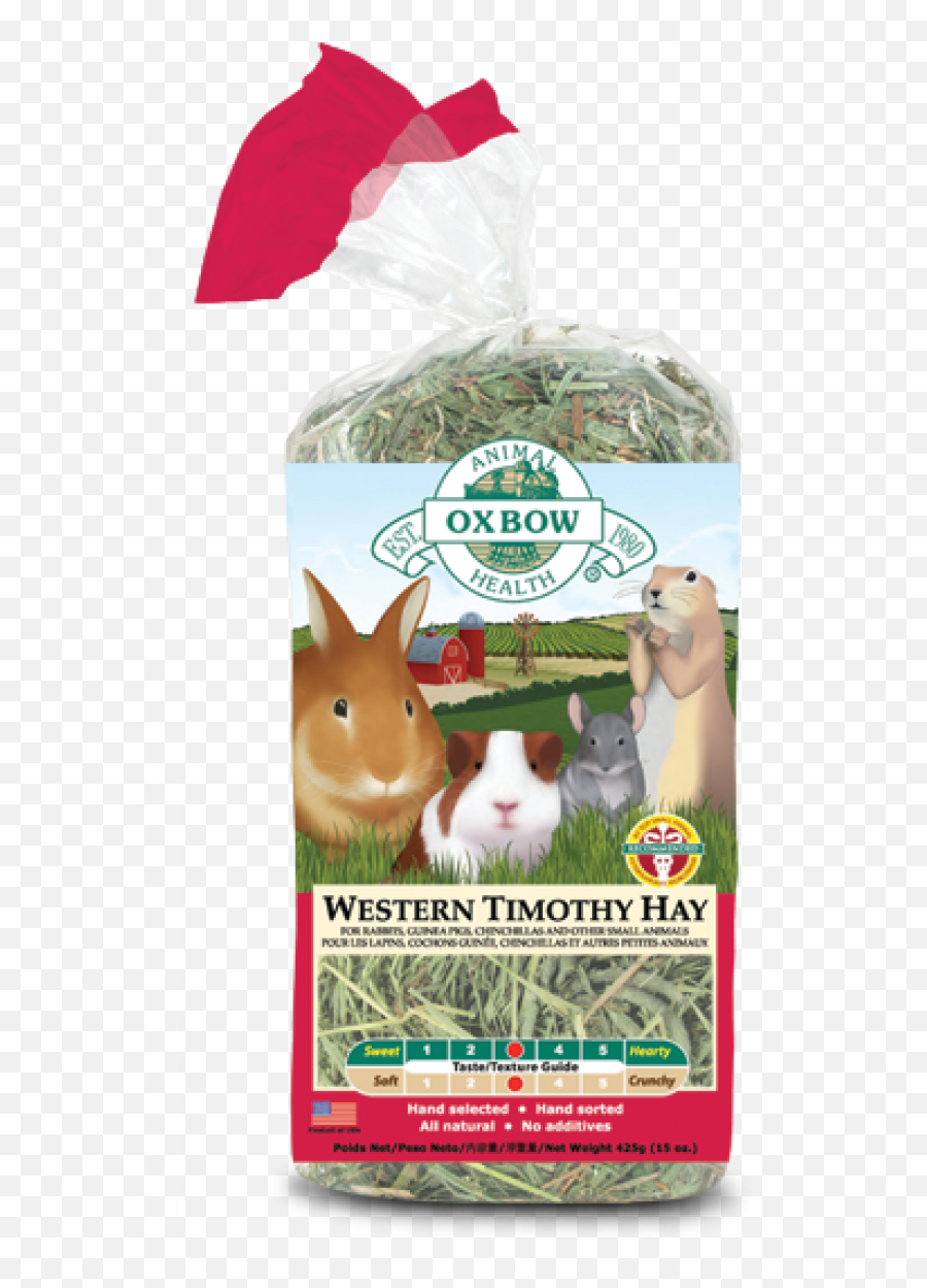 Western Timothy Hay - Timothy Hay Transparent Png,Hay Png