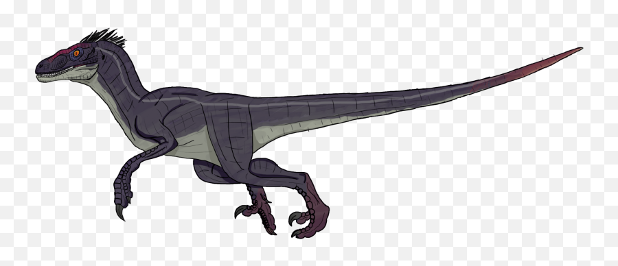 Jurassic Park 3 Male Velociraptor - Jurassic Park Raptor Male Png,Velociraptor Png