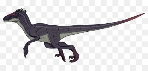 Jurassic Park 3 Male Velociraptor - Jurassic Park Raptor Male Png,Velociraptor Png