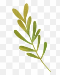 Free Online Leaves Love Plant Watercolor Vector For - Green Stickers Png