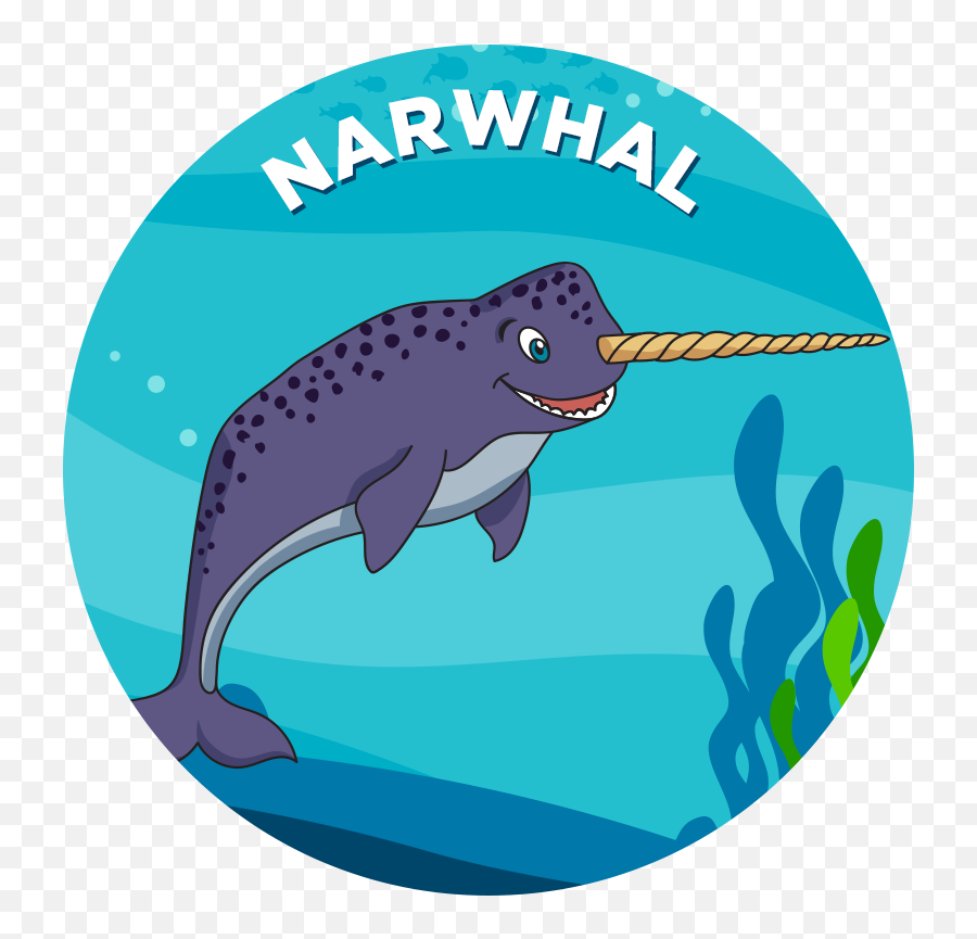Narwhal - Tadpple Clipart Png,Narwhal Png