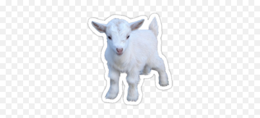 Goat Sticker - Goat Sticker Png,Goat Png