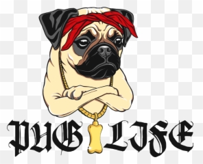 Pug Png - Thug Life Png Dog,Pug Png