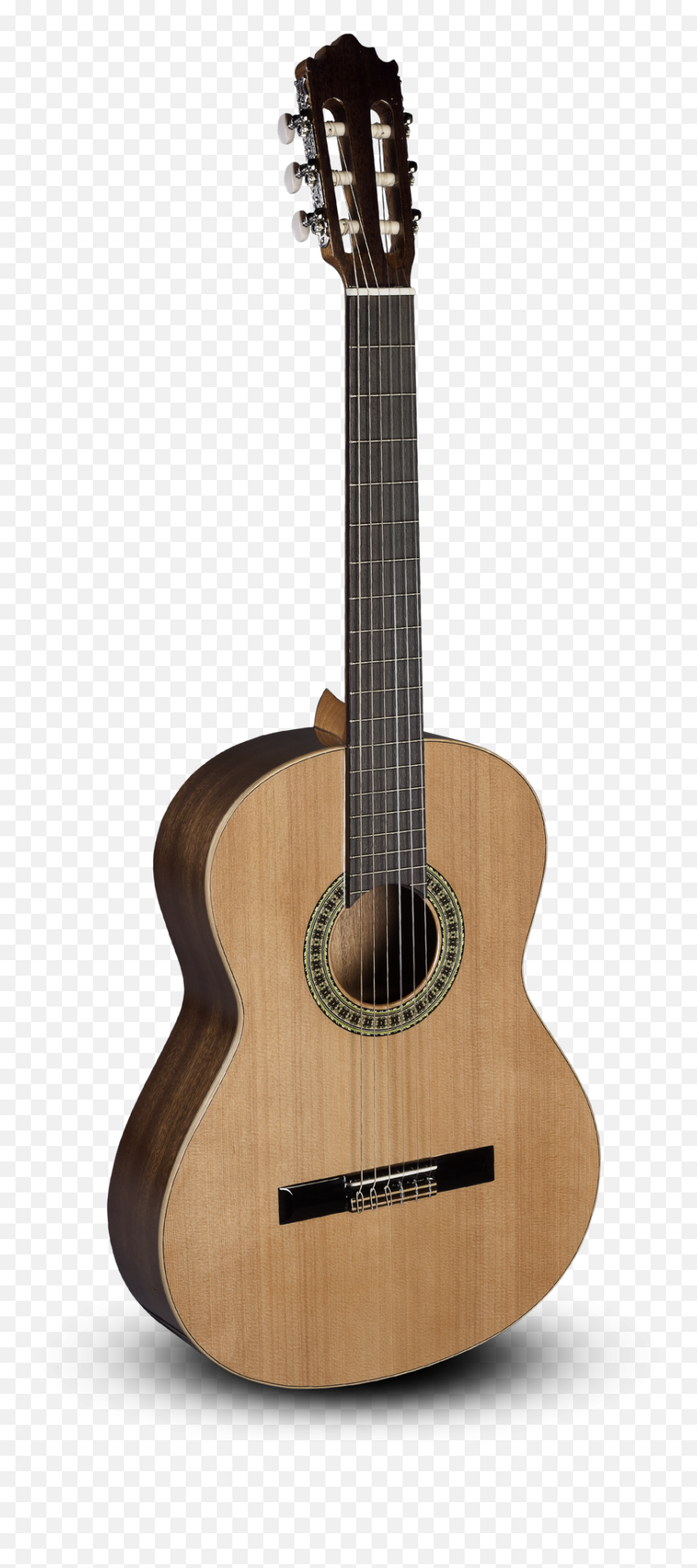 Download Classical Cutaway Alhambra - Alhambra Z Nature Cw Ez Png,Guitarra Png