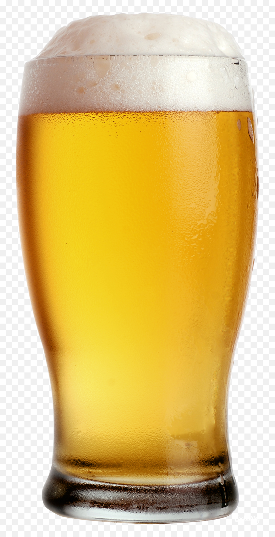 Beer Png Images Free Pictures Download - Pint Of Beer Png,Beer Mug Png