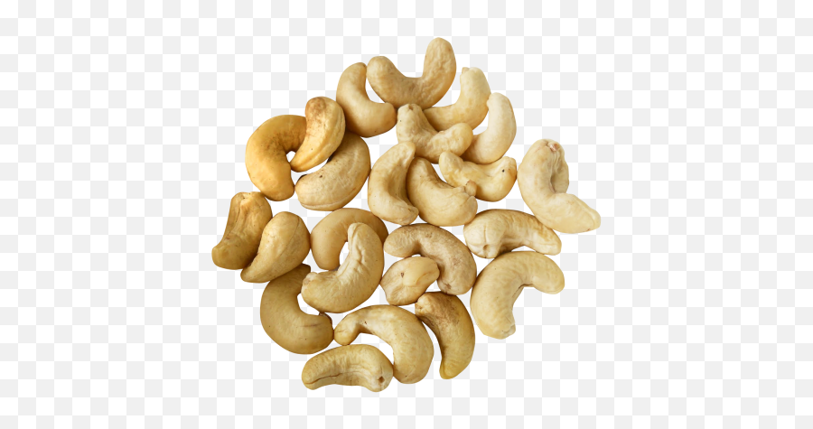 Cashew Nut Png Transparent Image - Pngpix Transparent Background Cashew Nut Png,Peanut Png