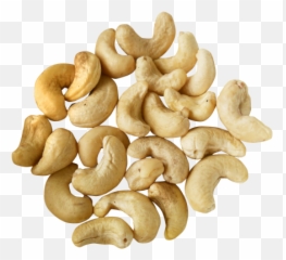 Cashew Nut Png Transparent Image - Pngpix Transparent Background Cashew Nut Png,Peanut Png