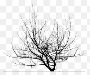 Swamp Thing Plants Png - Album On Imgur Branch,Swamp Png