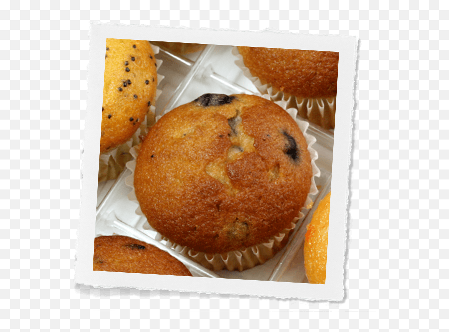 Download Muffin Hd Png - Uokplrs Muffin,Muffin Png