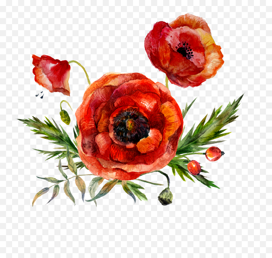 Free Png Flowers - Konfest,Watercolor Flowers Transparent Background