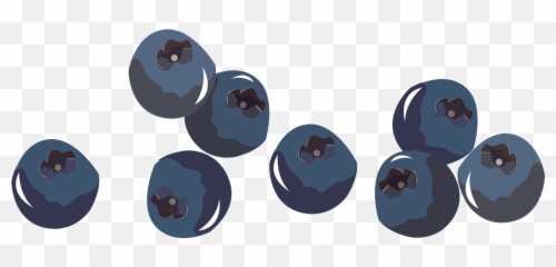 Why Is My Coffee Described As Tasting - Blueberries Png,Blueberry Png