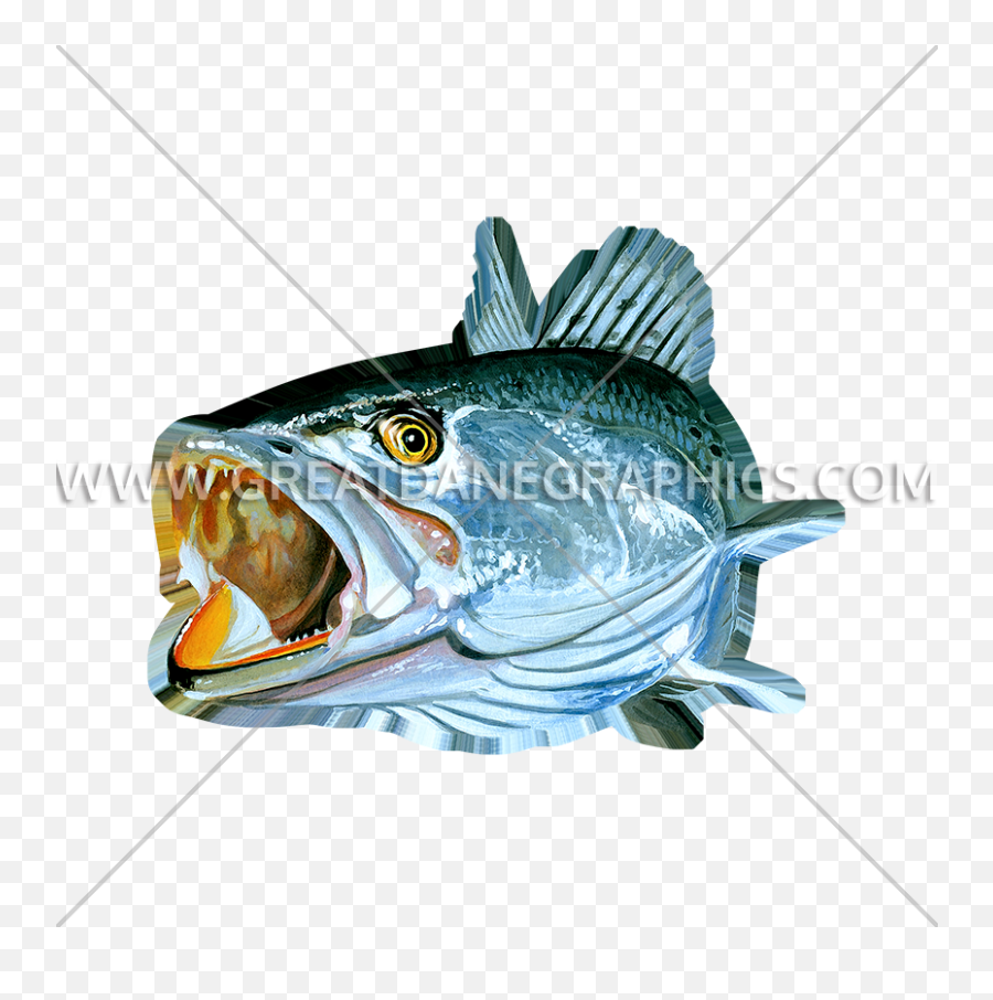 Speckled Trout Open Mouth Production Ready Artwork For T - Speckled Trout Designs Png,Trout Png