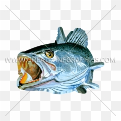 Speckled Trout Open Mouth Production Ready Artwork For T - Speckled Trout Designs Png,Trout Png
