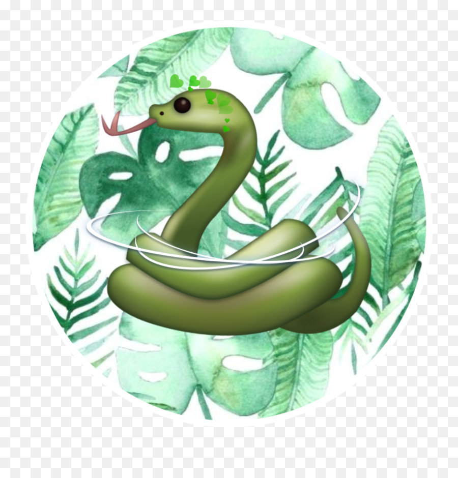 Эмодзи змея. Эмодзи змеи. Змейка эмодзи. Twitter Snake Emoji. Zmeya Emoji PNG.