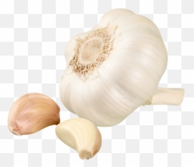 Jumbo Garlic 12 Lb - Elephant Garlic Png,Garlic Png