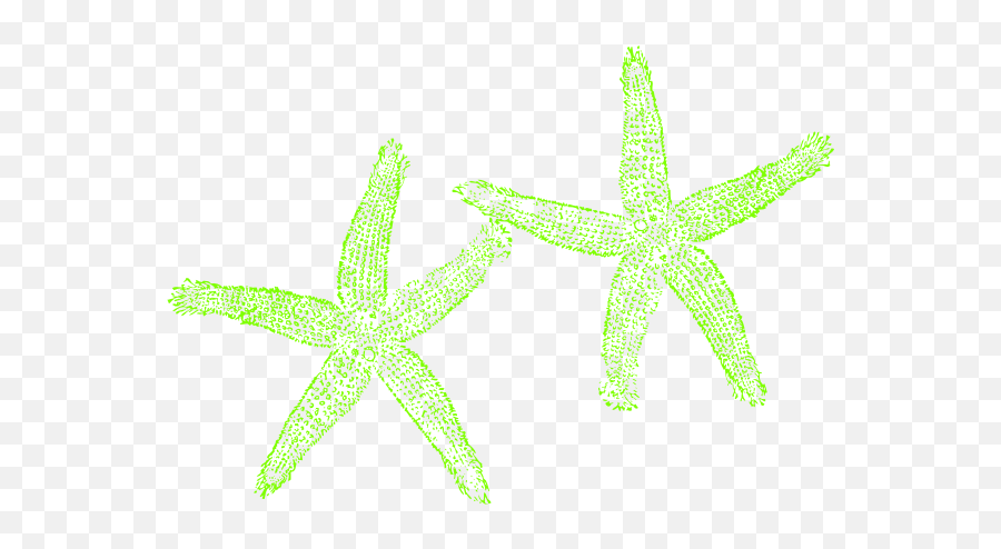 Lime Green Starfish Clipart - Lovely Png,Starfish Clipart Png