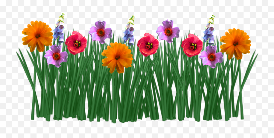 Spring Flowers Grass Meadow Png Picpng - Flowers In Grass Drawing,Meadow Png