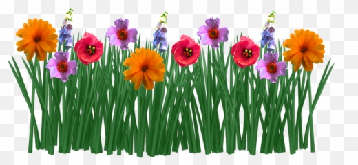 Spring Flowers Grass Meadow Png Picpng - In Drawing