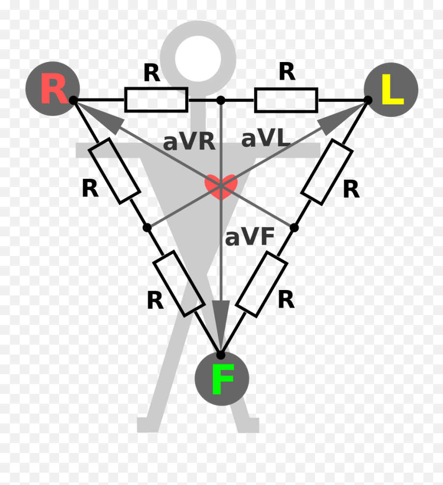 Download Open - Ekg Princip Full Size Png Image Pngkit Vertical,Ekg Png