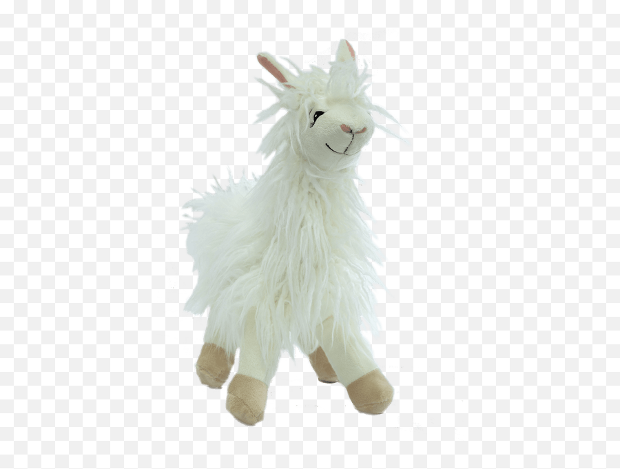 Zootique Woolly Llama White Royeru0027s Flowers And Gifts - Llama Stuffed Animal Transparent Png,Llama Transparent
