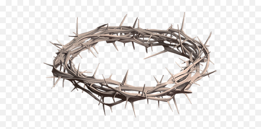 Crown Of Thorns Transparent Background - Twig Png,Crown Of Thorns Transparent