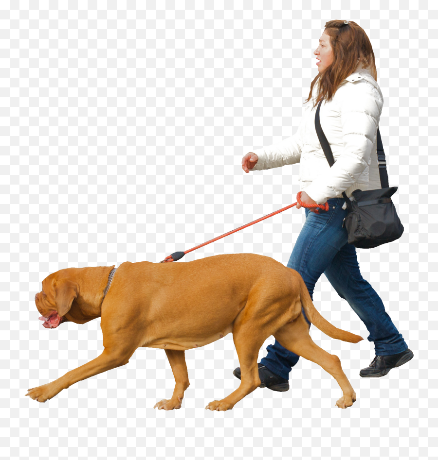 Download Man Walking Dog Png Image - Woman Walking Dog Png,People Walking Dog Png