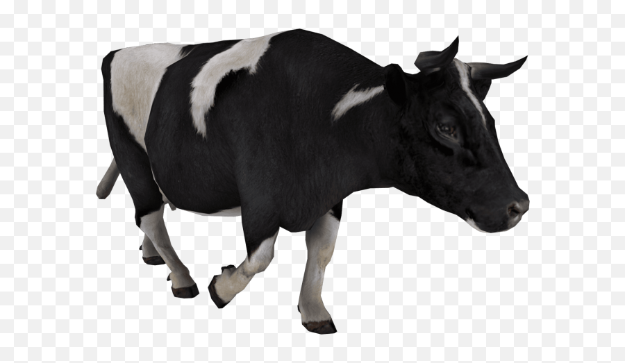 Free Transparent Png Images - Cow Stock Images Transparent,Cow Transparent
