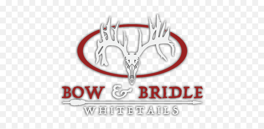 Ny Whitetail Deer Hunting - Bow U0026 Bridle Automotive Decal Png,Deer Hunting Logo