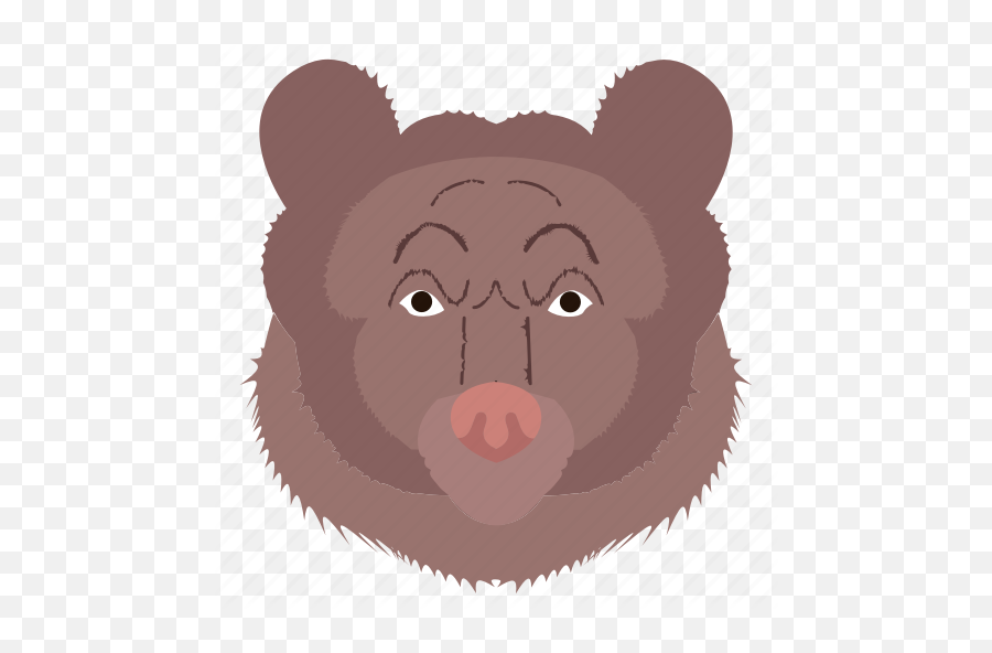 Animal Bear Face Zoo Icon - Ugly Png,Bear Face Icon