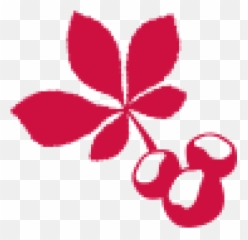 Buckeyes Wire - Girly png