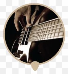 Bass Left Icon - Learn bass lessons classes and Still Life Photography png