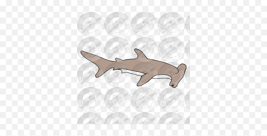 Hammerhead Shark Clipart Transparent - Tiger Shark Png,Shark Clipart Transparent Background