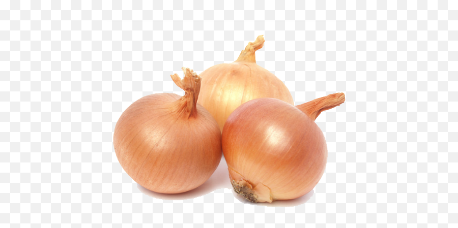 Download Onion Png Picture Hq Image - Onions Brown,Onion Png