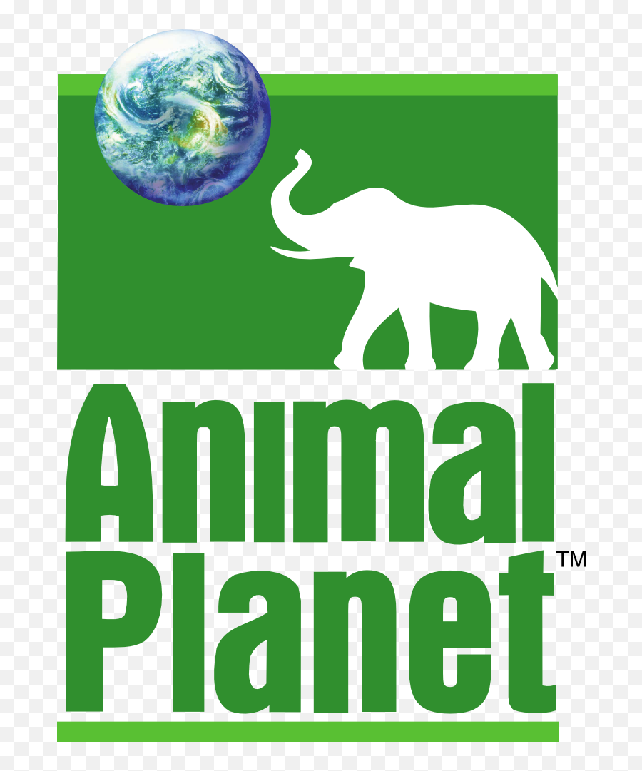 Animal Planet Logo Timeline Wiki Fandom - Old Animal Planet Logo Png,Aza Icon Wheels