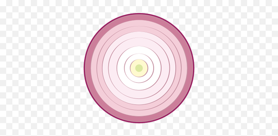 Onion - Anonymity Online Shooting Target Png,Tor Onion Icon