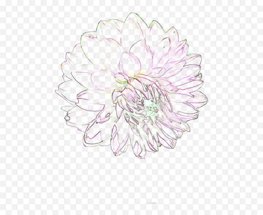 Flower Tumblr Png Transparent - Portable Network Graphics,Flowers Transparent Tumblr