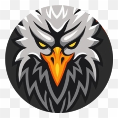 Falcon Swaps Price Today Official Live Falcons Png