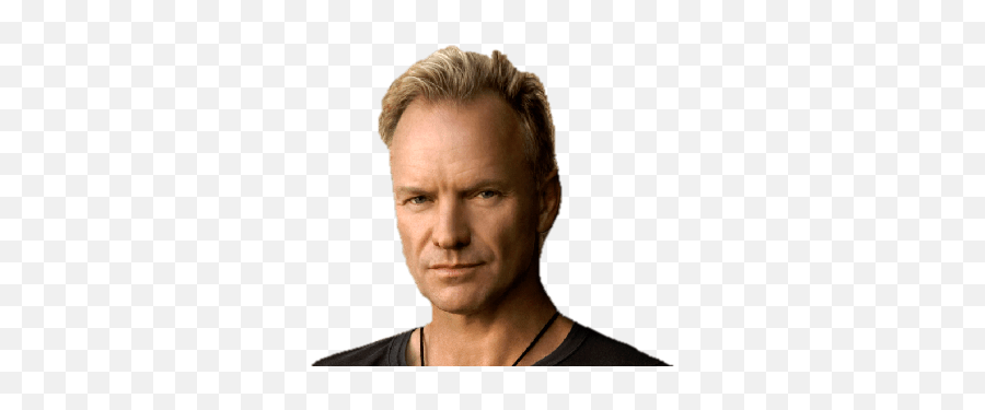 Sting Face Transparent Png - Sting Face Transparent,Sting Png