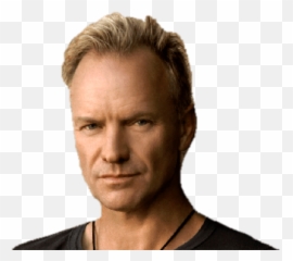 Sting Face Transparent Png - Sting Face Transparent,Sting Png