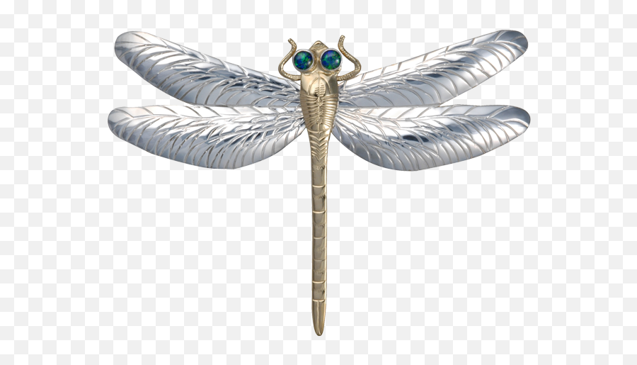 Dragonfly Xl 4 Png