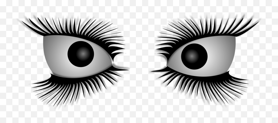 Eyes Eyelashes Crazy - Free Vector Graphic On Pixabay Crazy Eyes No Background Png,Eyelashes Transparent Background