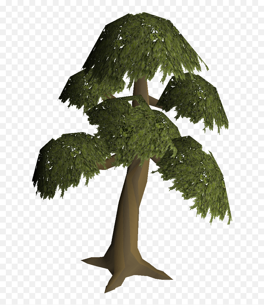 Yew Tree Construction Old School Runescape Wiki Fandom - Yew Tree Runescape Png,Tree Symbol Png