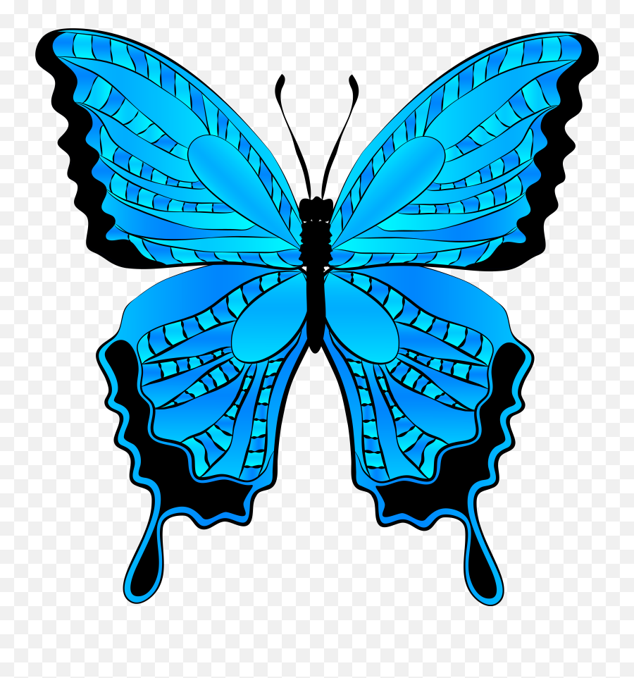 Blue Butterfly Clipart - Blue Butterfly Clipart Png,Blue Butterfly Transparent Background