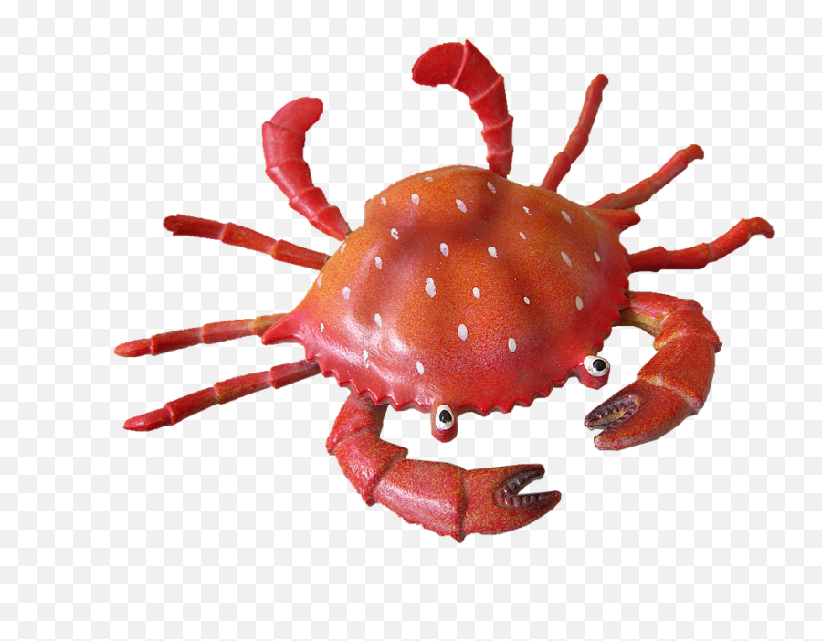 Crab Clipart Transparent Background - Cangrejo De Mar Png,Crab Transparent Background