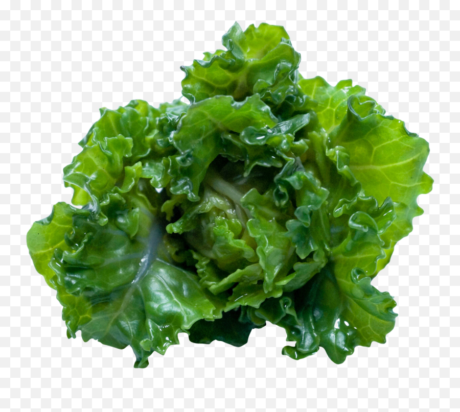 Download Kale Png Image For Free - Kale Png,Kale Png