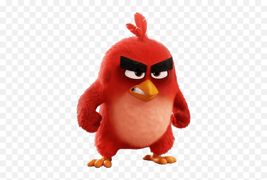 Short Angry Quotes - Most Of The Angry Birds Are Born Png,Facebook Angry Png