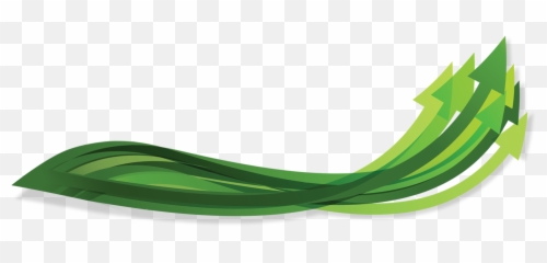 Ota - Artificial Turf Png,Grass Top View Png