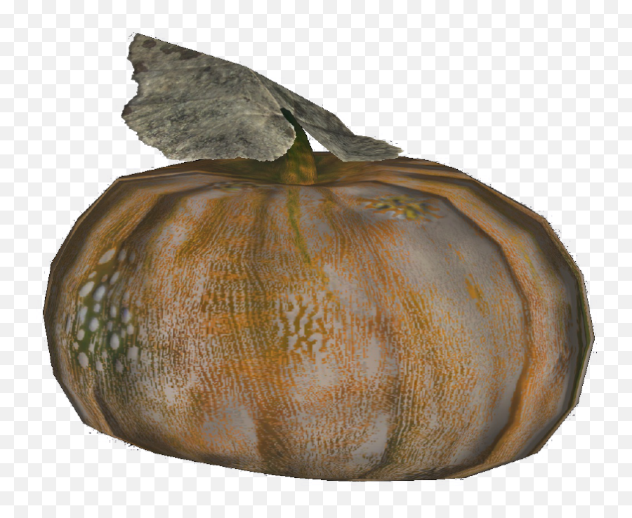 Fallout - Gourds In Fallout 76 Png,Gourd Png