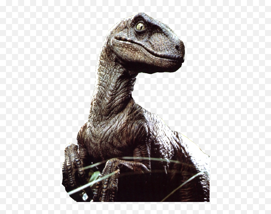 Velociraptor Png File - Raptor With A Hat,Velociraptor Png