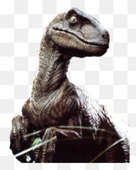 Velociraptor Png File - Raptor With A Hat,Velociraptor Png
